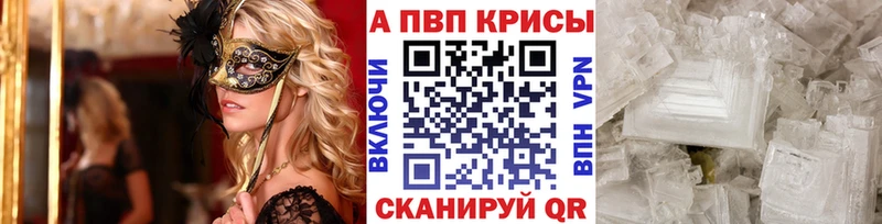 blacksprut ссылка  Обь  А ПВП крисы CK  где найти  