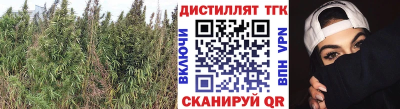 mega как зайти  даркнет сайт  Обь  ТГК гашишное масло 